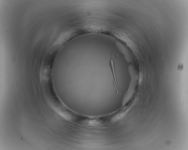 X0000091850165200709051154