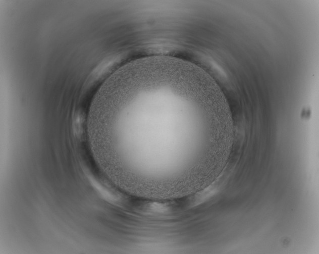 X0000091850166200709051154