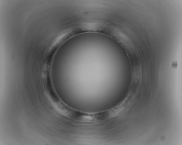 X0000091850167200709051154