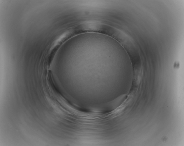 X0000091850168200709051154