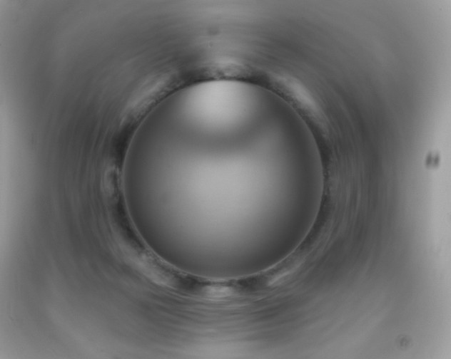 X0000091850169200709051154