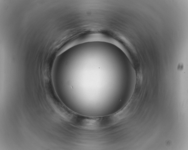 X0000091850170200709051154