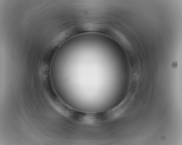X0000091850171200709051154