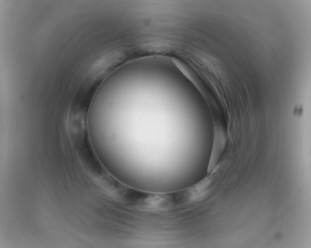 X0000091850172200709051154