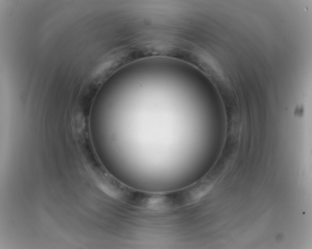 X0000091850173200709051154