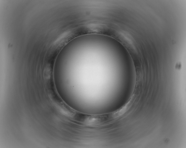X0000091850174200709051154