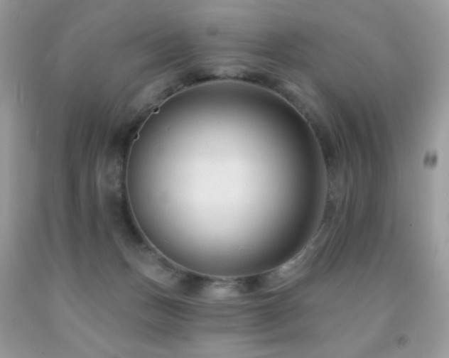 X0000091850175200709051154