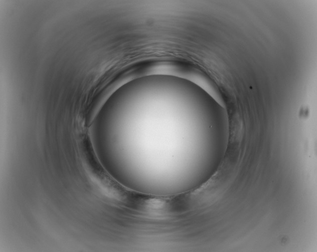 X0000091850176200709051154