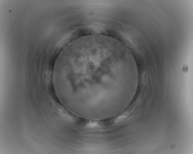 X0000091850177200709051154