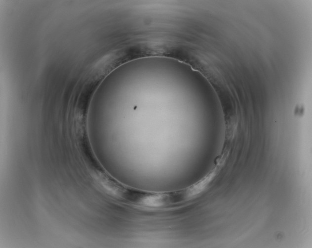 X0000091850178200709051154