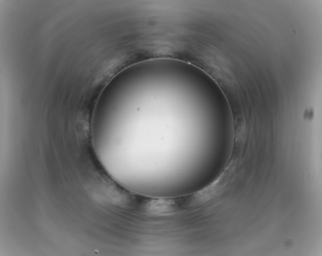 X0000091850179200709051154