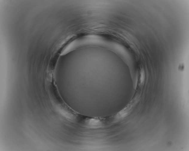 X0000091850180200709051154