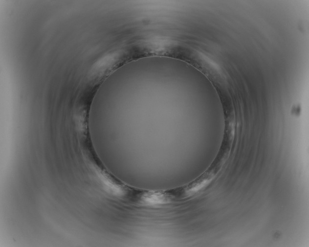 X0000091850181200709051154