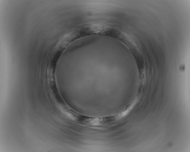 X0000091850182200709051154