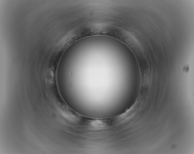 X0000091850183200709051154