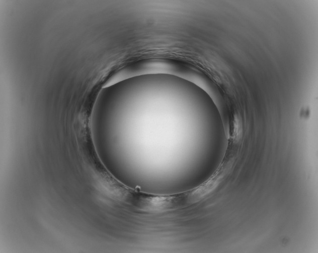 X0000091850184200709051154