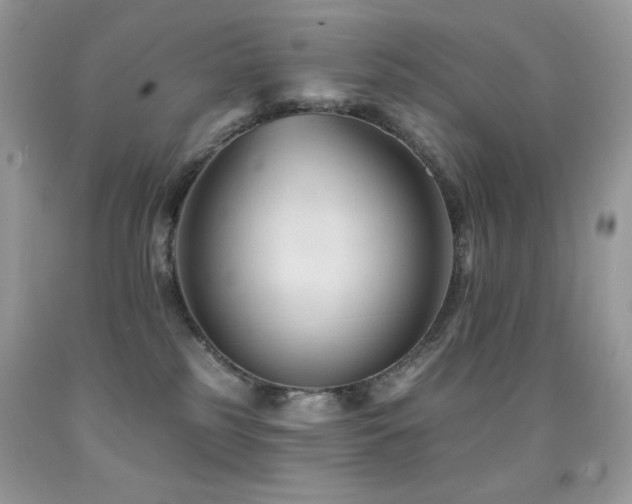 X0000091850185200709051154