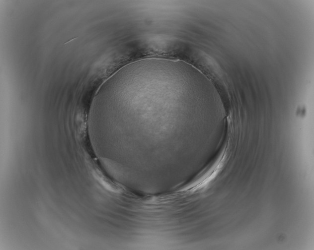 X0000091850186200709051154