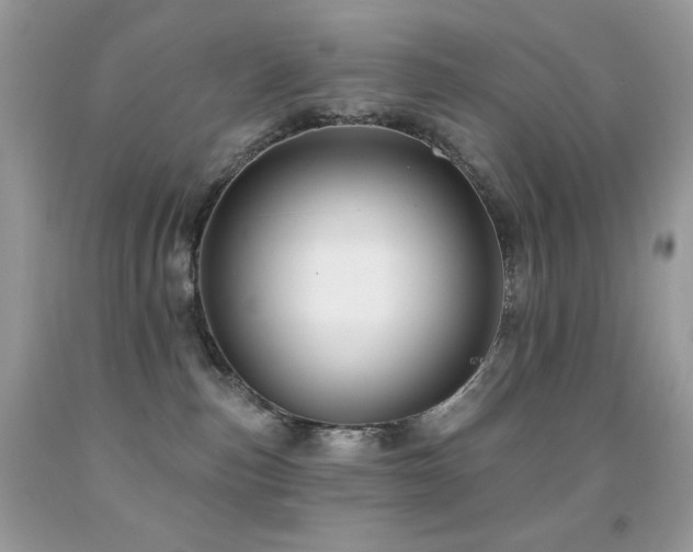 X0000091850187200709051154