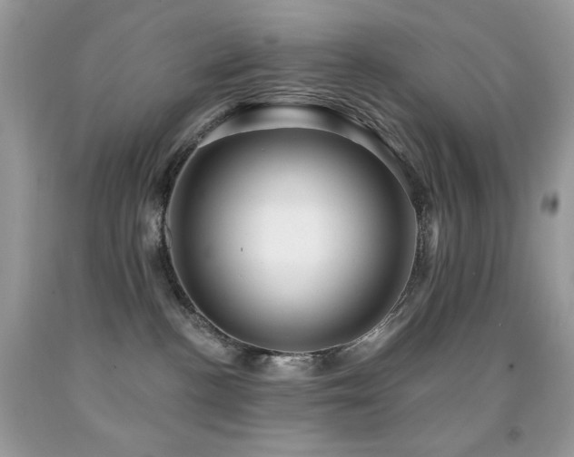 X0000091850188200709051154