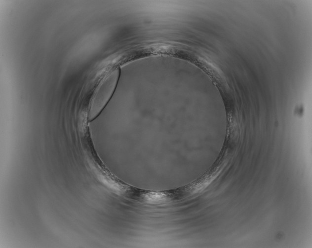 X0000091850189200709051154
