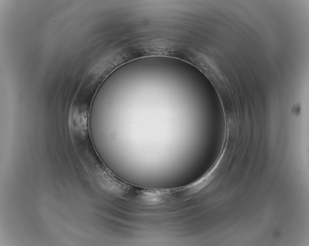 X0000091850190200709051154