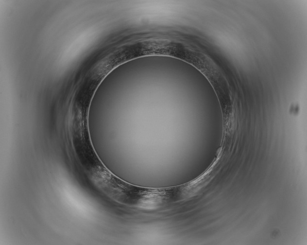X0000091850191200709051154