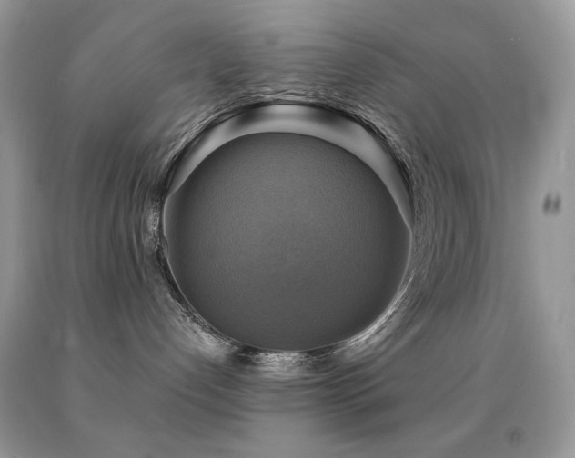 X0000091850192200709051154