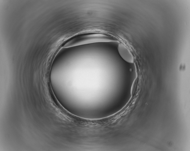 X0000091850193200709051153