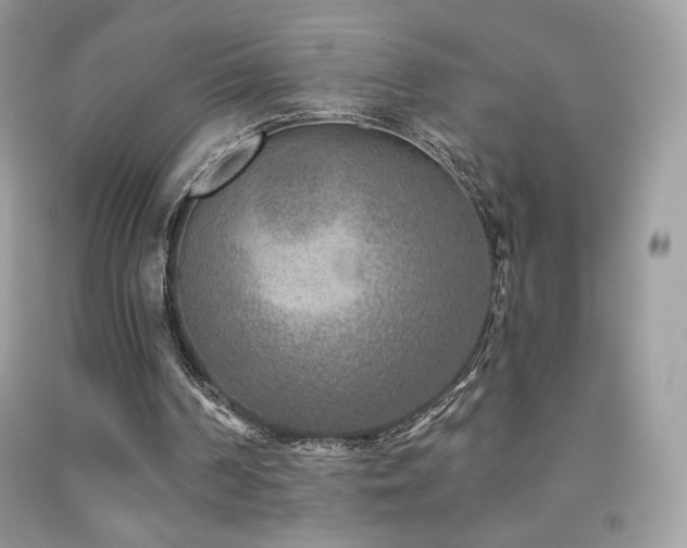 X0000091850194200709051153