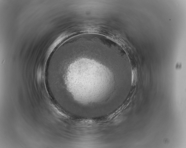 X0000091850195200709051153