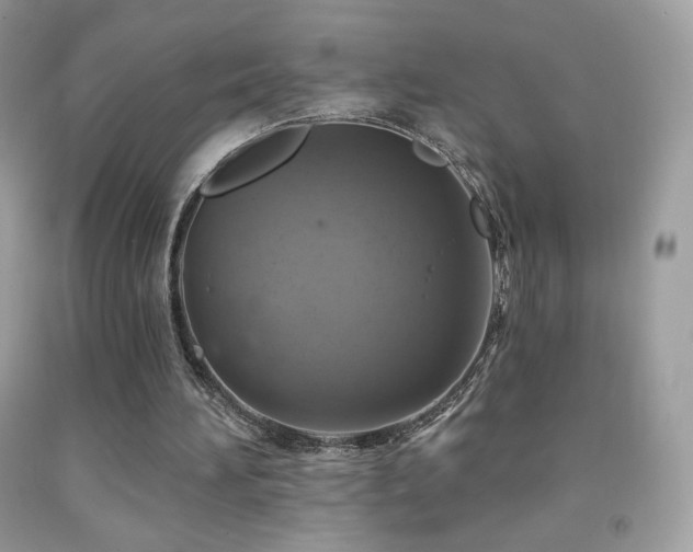 X0000091850196200709051153