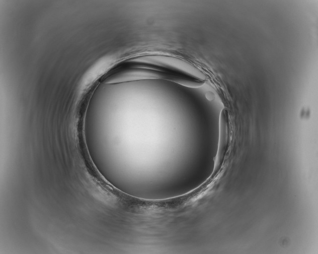 X0000091850197200709051153