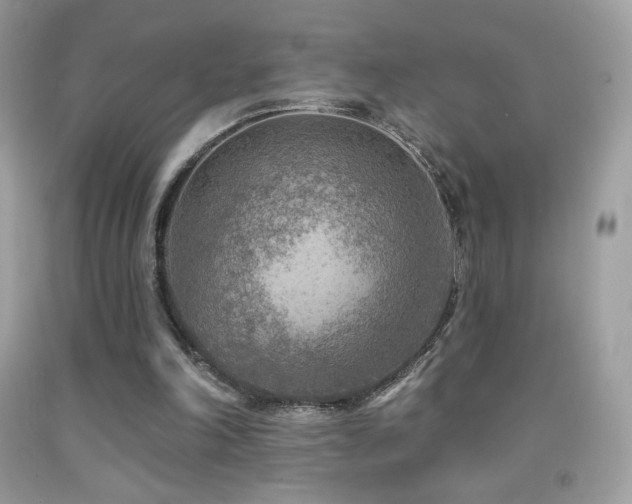 X0000091850198200709051153