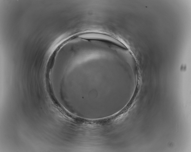 X0000091850199200709051153