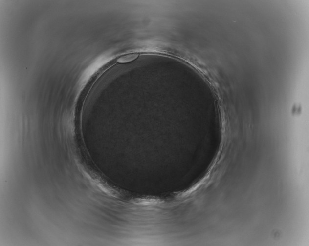 X0000091850200200709051153