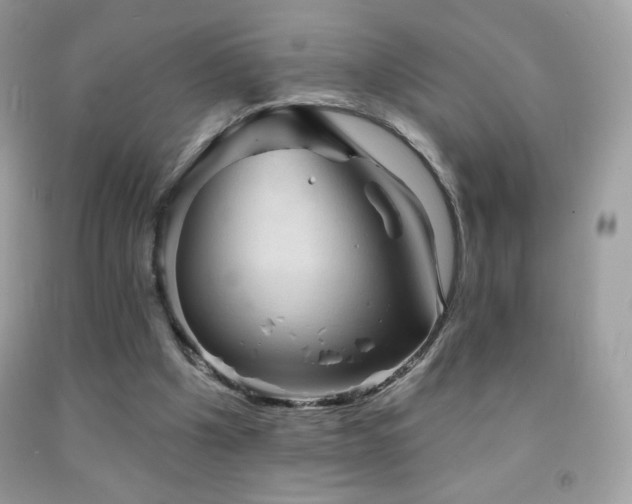 X0000091850201200709051153