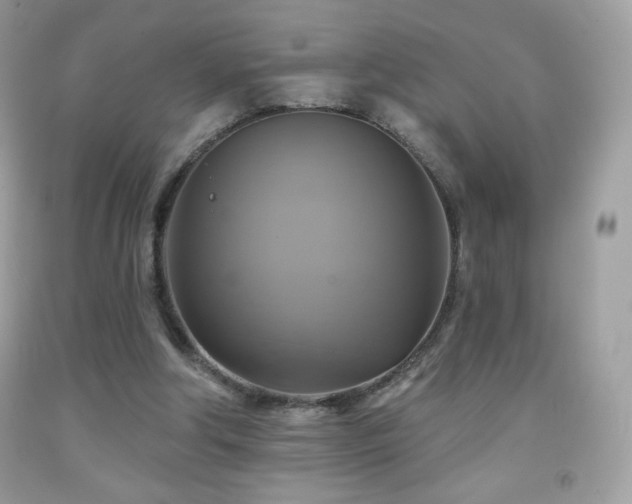 X0000091850202200709051153