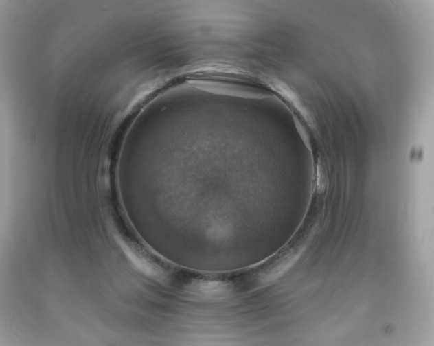 X0000091850205200709051153