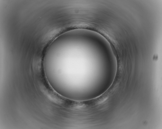 X0000091850206200709051153