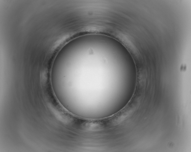 X0000091850208200709051153
