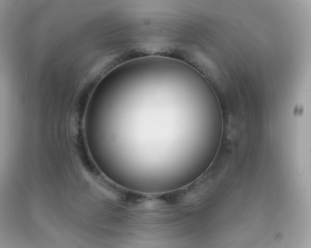 X0000091850210200709051153