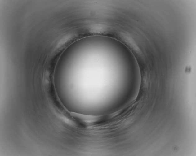 X0000091850211200709051153