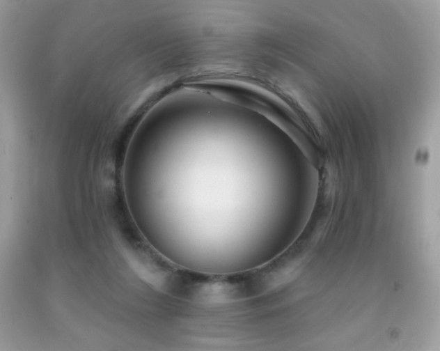 X0000091850212200709051153