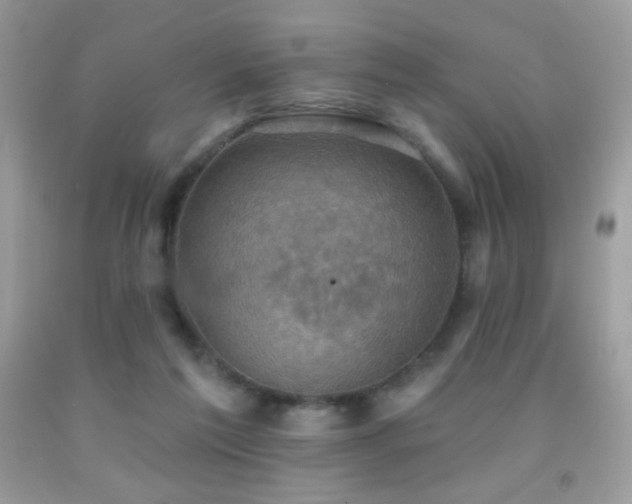 X0000091850213200709051153