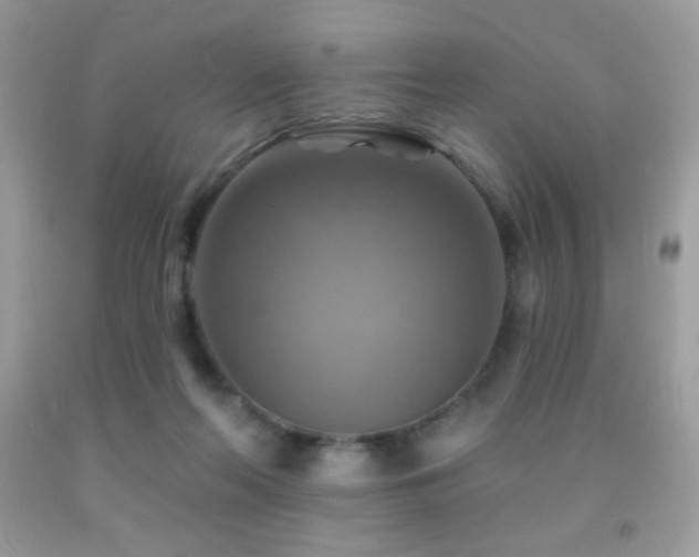X0000091850214200709051153