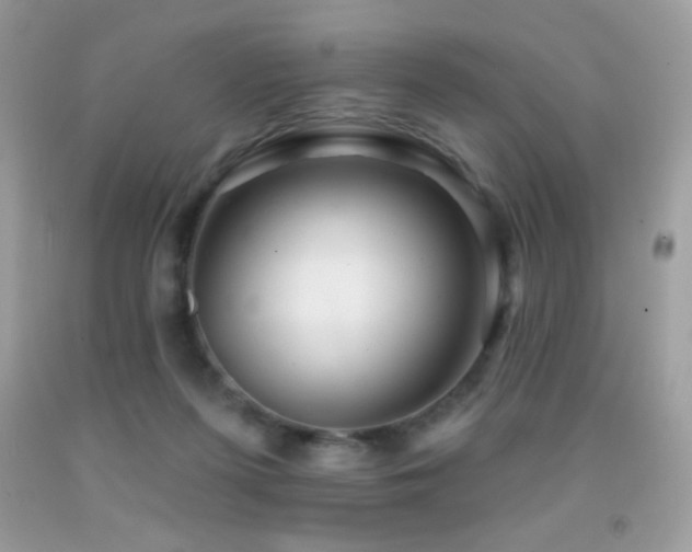 X0000091850215200709051153