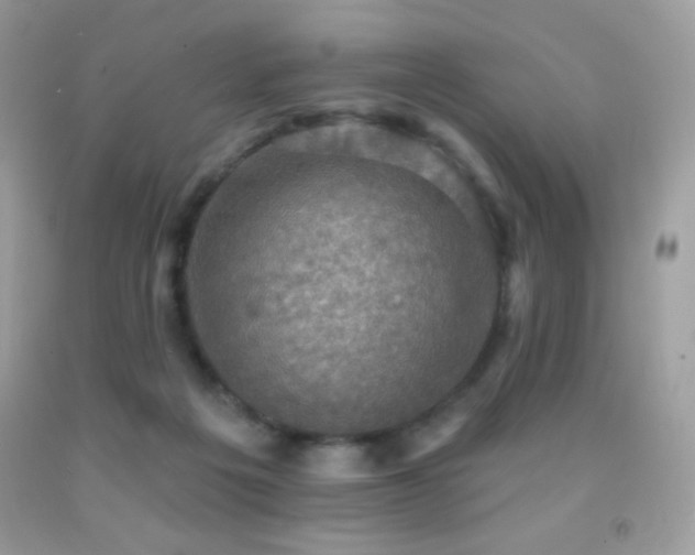 X0000091850217200709051153