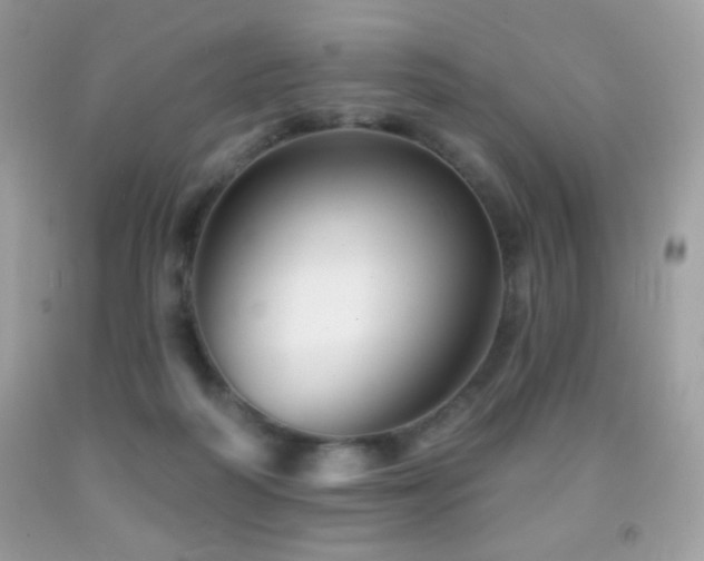 X0000091850218200709051153