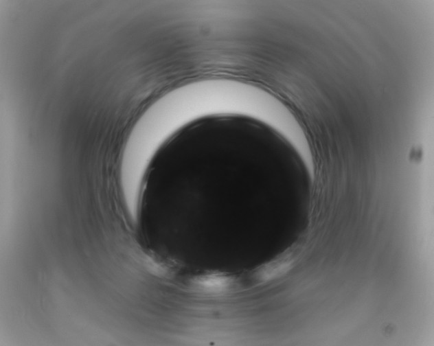 X0000091850219200709051153